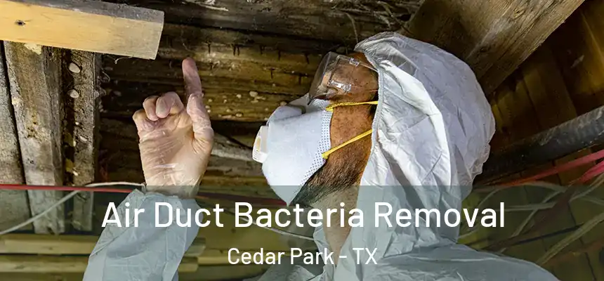  Air Duct Bacteria Removal Cedar Park - TX