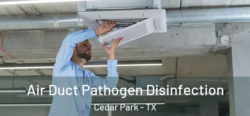 Air Duct Pathogen Disinfection Cedar Park - TX