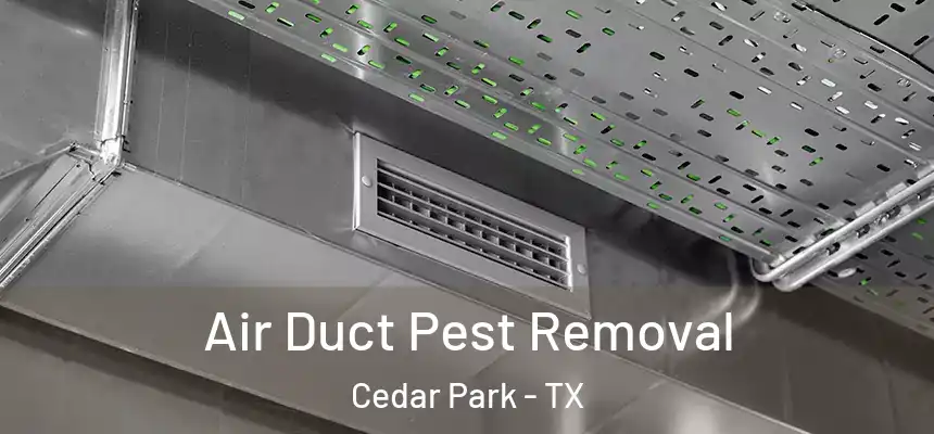 Air Duct Pest Removal Cedar Park - TX