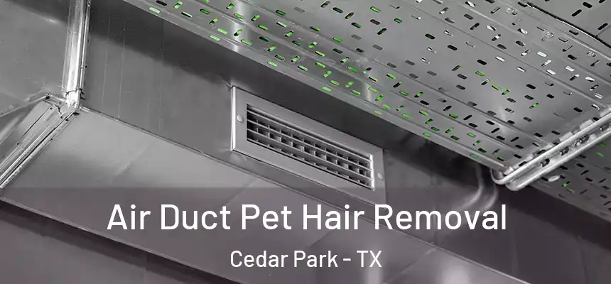 Air Duct Pet Hair Removal Cedar Park - TX