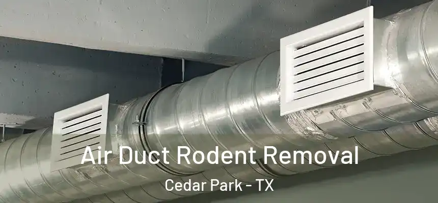  Air Duct Rodent Removal Cedar Park - TX