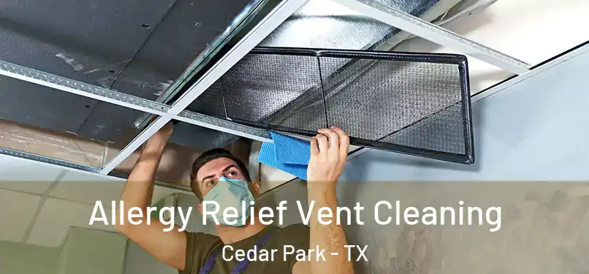  Allergy Relief Vent Cleaning Cedar Park - TX