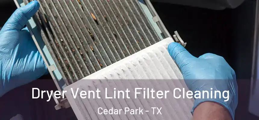  Dryer Vent Lint Filter Cleaning Cedar Park - TX