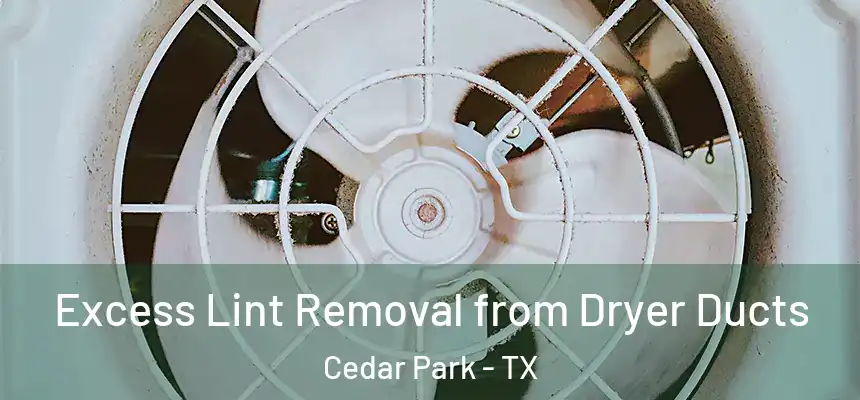 Excess Lint Removal from Dryer Ducts Cedar Park - TX