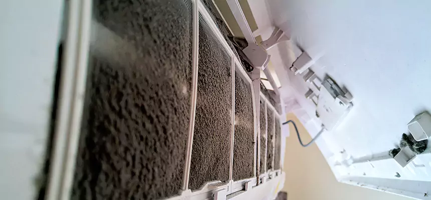 Preventive Air Duct Bacteria Removal in Cedar Park