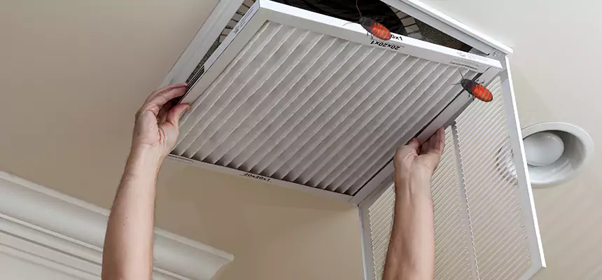 Our Insect Removal from Air Ducts Services in Cedar Park, TX