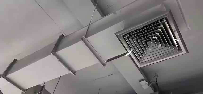 Our Pest Removal From Ducts Services in Cedar Park, TX