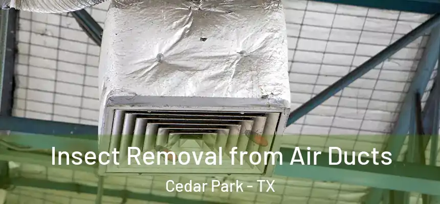 Insect Removal from Air Ducts Cedar Park - TX