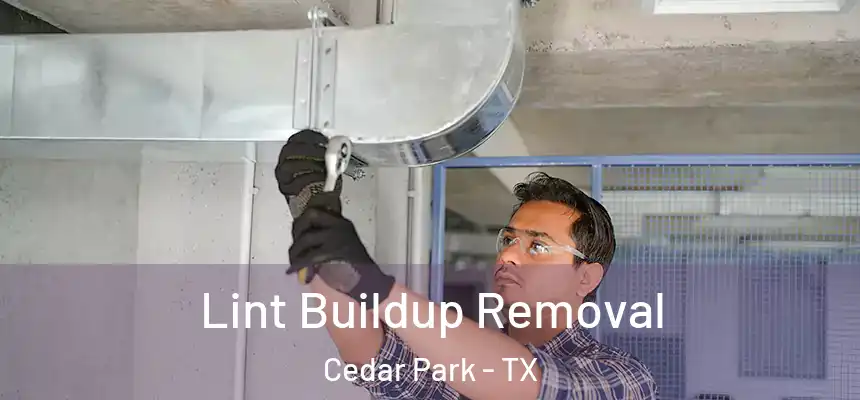  Lint Buildup Removal Cedar Park - TX