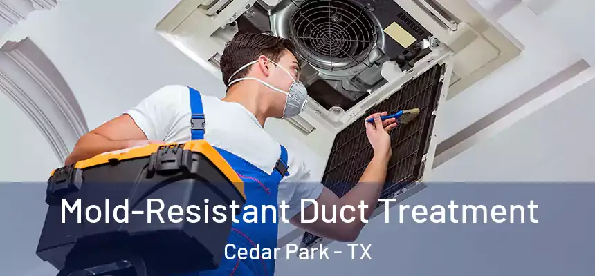 Mold-Resistant Duct Treatment Cedar Park - TX