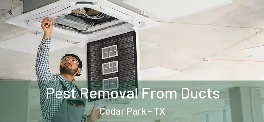 Pest Removal From Ducts Cedar Park - TX
