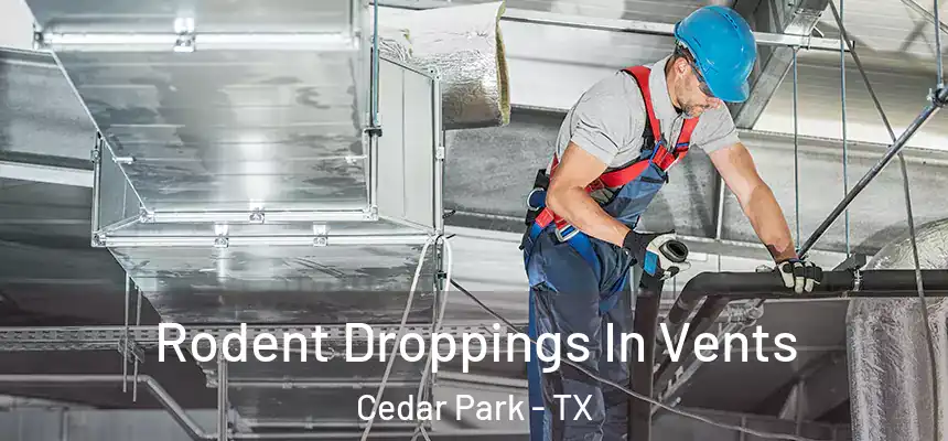  Rodent Droppings In Vents Cedar Park - TX