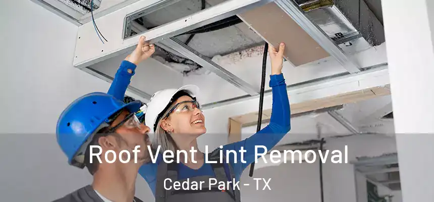 Roof Vent Lint Removal Cedar Park - TX