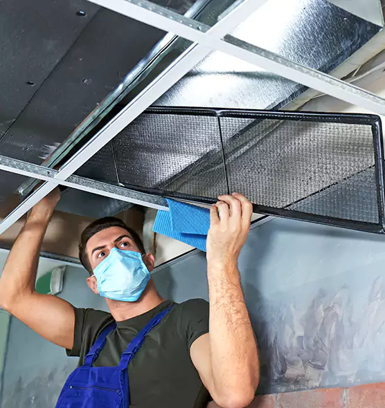 Professional Air Duct Pollen Cleaning in Cedar Park, TX