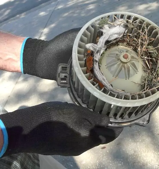 About Air Duct Rat Removal in Cedar Park, TX