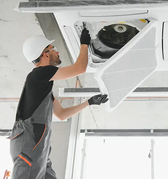 About Air Duct Rodent Removal in Cedar Park, TX