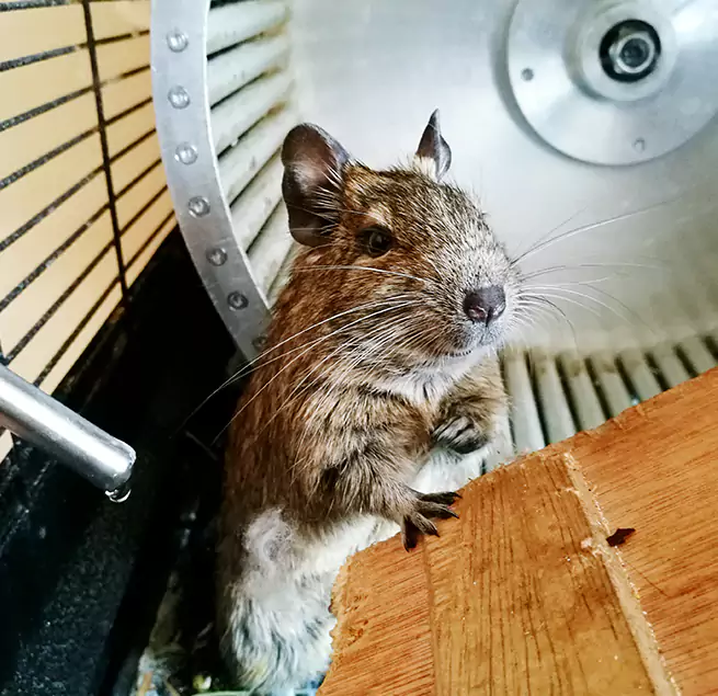 Why Homeowners & Businesses Trust Us Cedar Park, TX