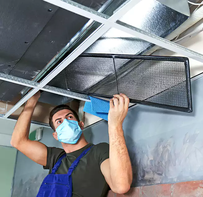 Why Homeowners Businesses Trust Us in Cedar Park, TX