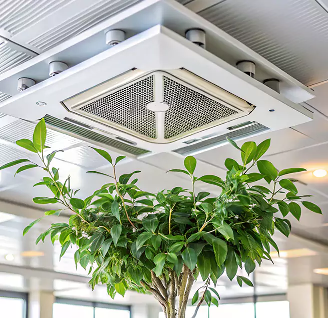 Why Homeowners & Businesses Trust Us in Cedar Park, TX?