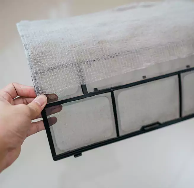 Why Homeowners & Businesses Trust Us in Cedar Park, TX?