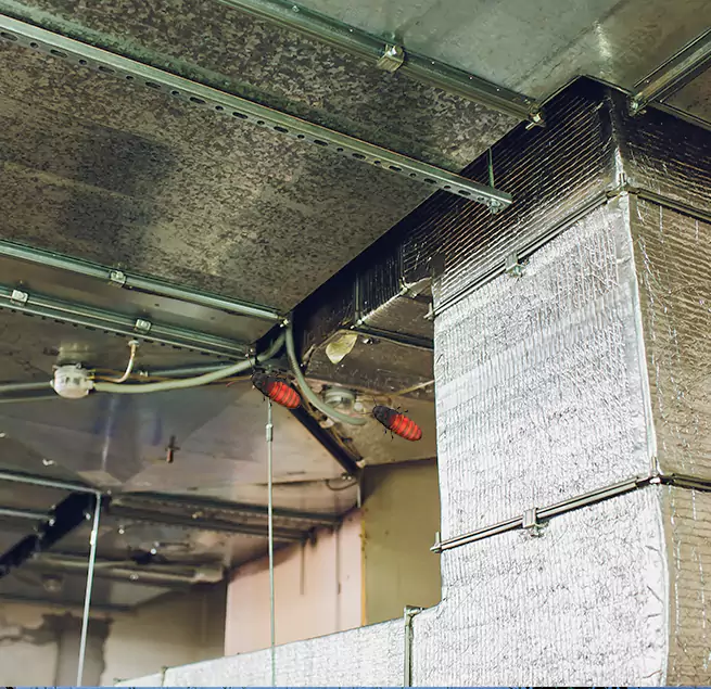 Why Homeowners & Businesses Trust Us Cedar Park, TX?