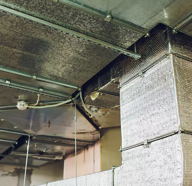 Why Homeowners & Businesses Trust Us in Cedar Park, TX?