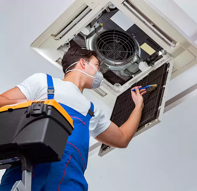 Why Homeowners & Businesses Trust Us in Cedar Park, TX?